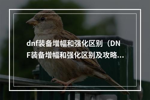 dnf装备增幅和强化区别（DNF装备增幅和强化区别及攻略）