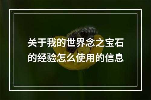 关于我的世界念之宝石的经验怎么使用的信息