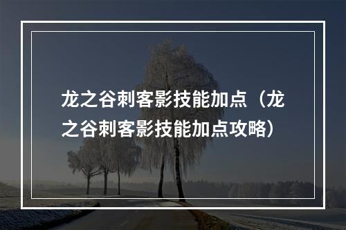 龙之谷刺客影技能加点（龙之谷刺客影技能加点攻略）