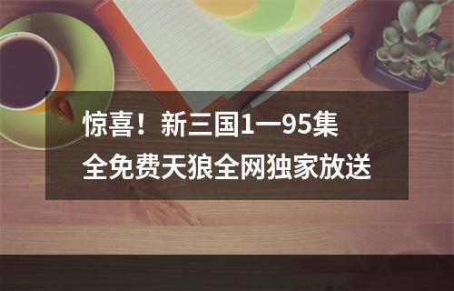 惊喜！新三国1一95集全免费天狼全网独家放送