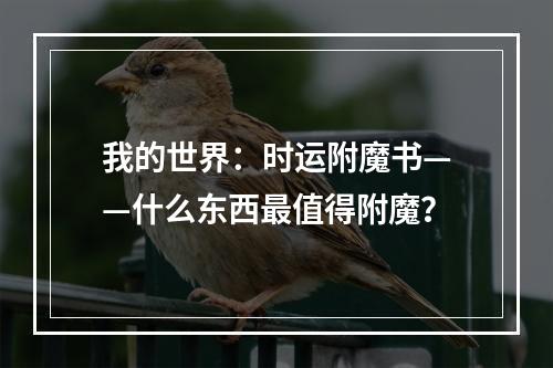 我的世界：时运附魔书——什么东西最值得附魔？