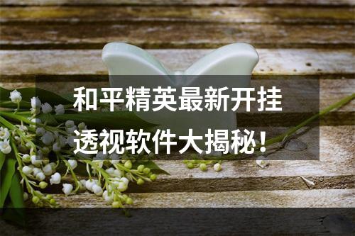 和平精英最新开挂透视软件大揭秘！