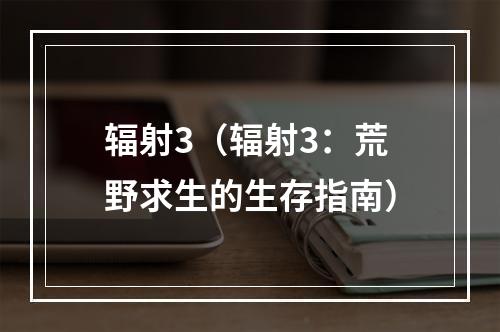 辐射3（辐射3：荒野求生的生存指南）