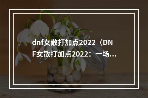 dnf女散打加点2022（DNF女散打加点2022：一场千年战役的嬉笑怒骂）