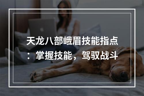 天龙八部峨眉技能指点：掌握技能，驾驭战斗