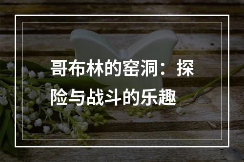 哥布林的窑洞：探险与战斗的乐趣