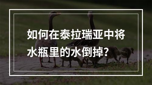 如何在泰拉瑞亚中将水瓶里的水倒掉？