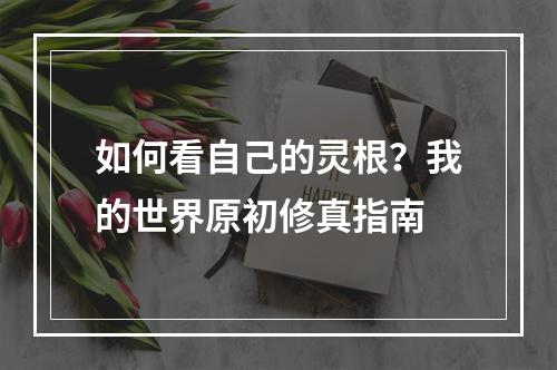 如何看自己的灵根？我的世界原初修真指南