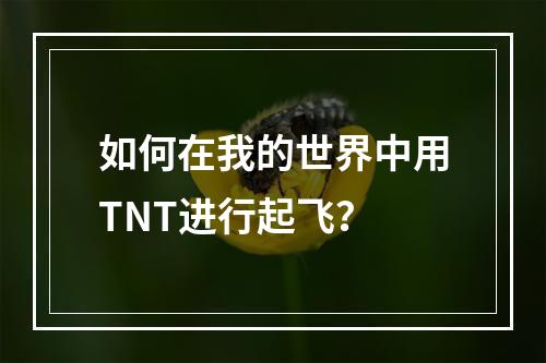 如何在我的世界中用TNT进行起飞？