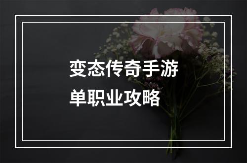 变态传奇手游单职业攻略