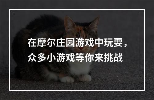 在摩尔庄园游戏中玩耍，众多小游戏等你来挑战