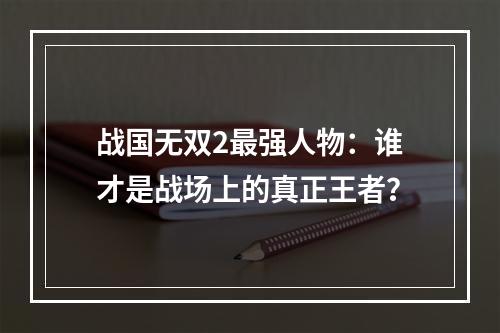 战国无双2最强人物：谁才是战场上的真正王者？