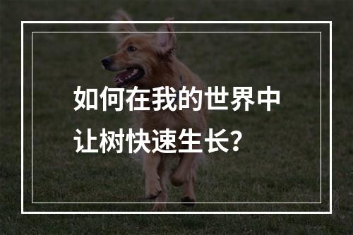 如何在我的世界中让树快速生长？