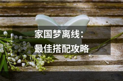 家国梦离线：最佳搭配攻略