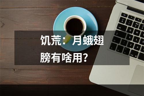 饥荒：月蛾翅膀有啥用？