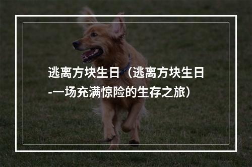 逃离方块生日（逃离方块生日-一场充满惊险的生存之旅）