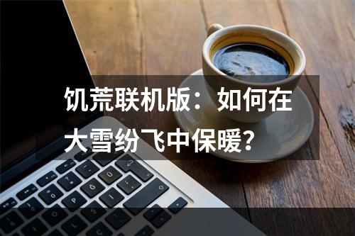 饥荒联机版：如何在大雪纷飞中保暖？