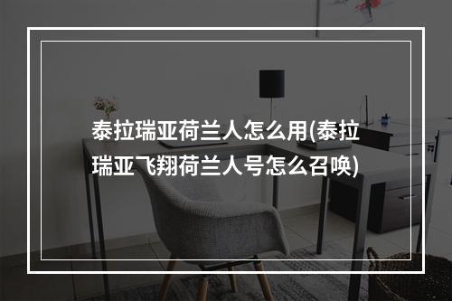 泰拉瑞亚荷兰人怎么用(泰拉瑞亚飞翔荷兰人号怎么召唤)