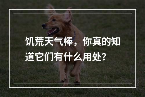 饥荒天气棒，你真的知道它们有什么用处？