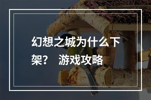 幻想之城为什么下架？  游戏攻略