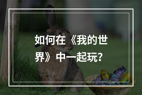 如何在《我的世界》中一起玩？