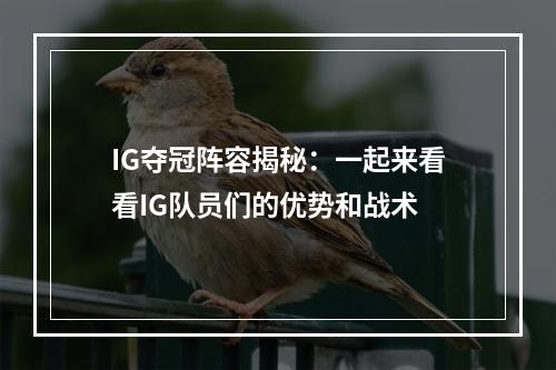 IG夺冠阵容揭秘：一起来看看IG队员们的优势和战术