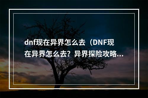 dnf现在异界怎么去（DNF现在异界怎么去？异界探险攻略大揭秘！）