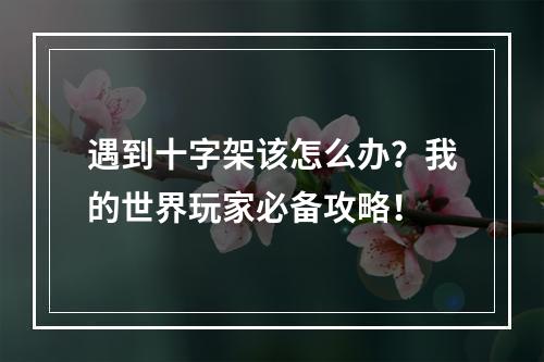 遇到十字架该怎么办？我的世界玩家必备攻略！