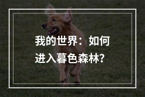 我的世界：如何进入暮色森林？