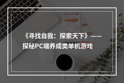 《寻找自我：探索天下》——探秘PC端养成类单机游戏