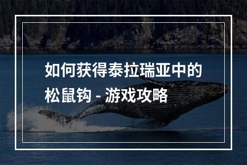 如何获得泰拉瑞亚中的松鼠钩 - 游戏攻略