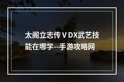 太阁立志传ⅤDX武艺技能在哪学--手游攻略网