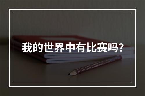 我的世界中有比赛吗？