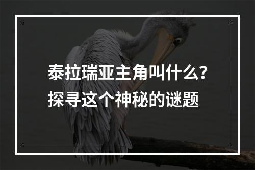 泰拉瑞亚主角叫什么？探寻这个神秘的谜题