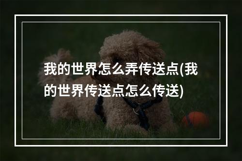 我的世界怎么弄传送点(我的世界传送点怎么传送)