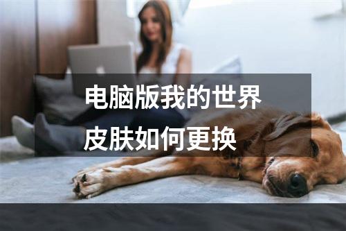 电脑版我的世界皮肤如何更换