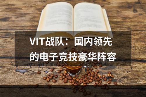 VIT战队：国内领先的电子竞技豪华阵容