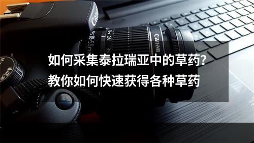 如何采集泰拉瑞亚中的草药？教你如何快速获得各种草药