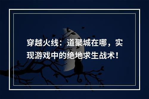 穿越火线：道聚城在哪，实现游戏中的绝地求生战术！