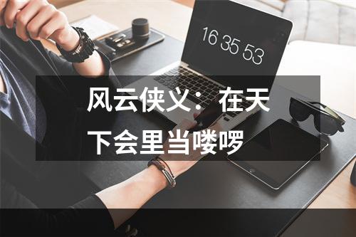 风云侠义：在天下会里当喽啰