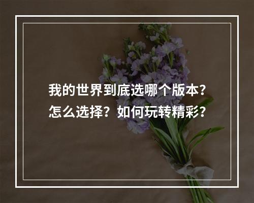 我的世界到底选哪个版本？怎么选择？如何玩转精彩？