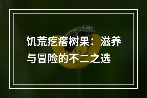 饥荒疙瘩树果：滋养与冒险的不二之选