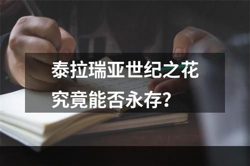 泰拉瑞亚世纪之花究竟能否永存？