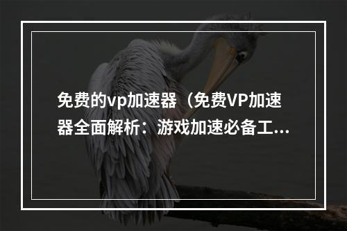 免费的vp加速器（免费VP加速器全面解析：游戏加速必备工具）