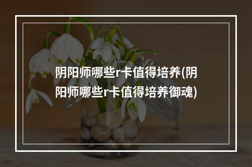 阴阳师哪些r卡值得培养(阴阳师哪些r卡值得培养御魂)