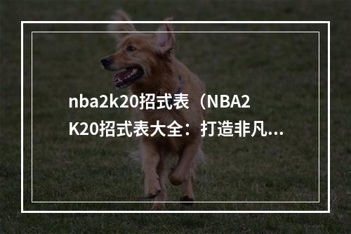 nba2k20招式表（NBA2K20招式表大全：打造非凡球王篇）