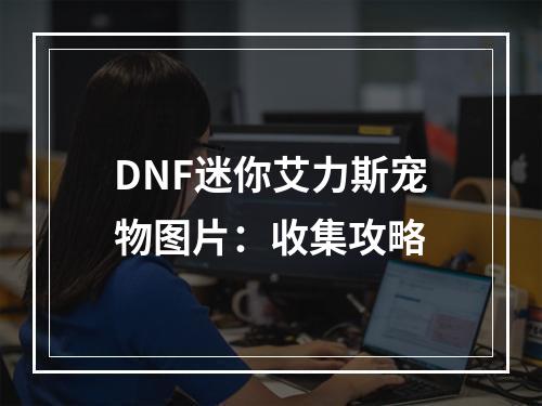 DNF迷你艾力斯宠物图片：收集攻略