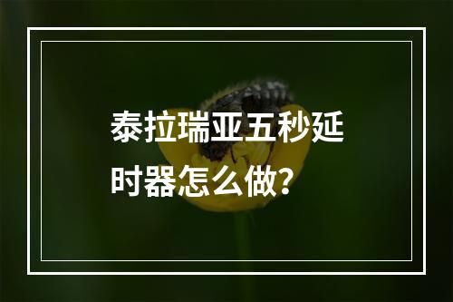 泰拉瑞亚五秒延时器怎么做？