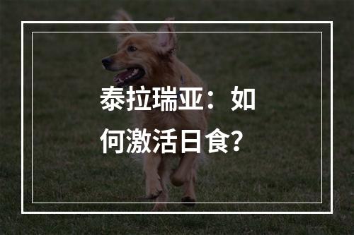 泰拉瑞亚：如何激活日食？