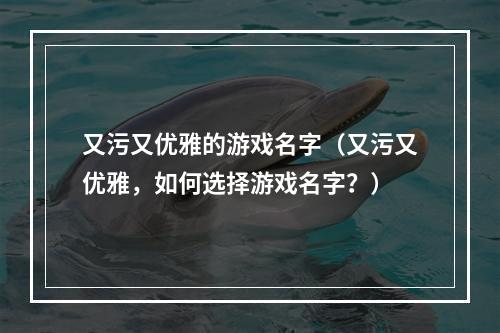 又污又优雅的游戏名字（又污又优雅，如何选择游戏名字？）